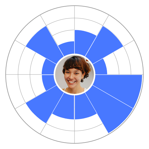 a radar chart showing an overview of an employee's traits